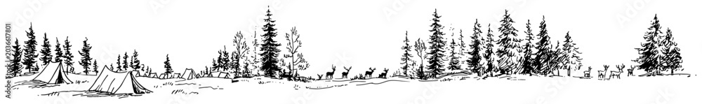 Obraz premium Outdoor camping scene with tents and wild deer in a pine forest landscape sketch