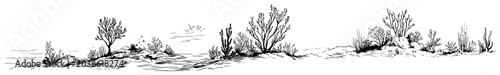 Fotografie Coastal landscape with low bushes and rocky ground in hand drawn ink sketch styl