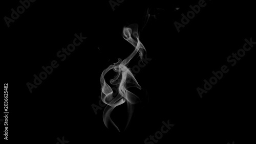 Obraz na plátně Abstract swirling white smoke wisps rising elegantly against a stark black backg
