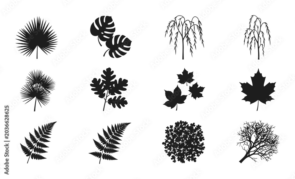 Fototapeta premium 12 Leaf icons, various tree leaves, outline solid styles, UI and web interface design