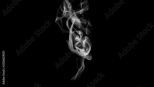 Quadro em tela Abstract swirling white smoke wisps rising and curling against a stark black bac