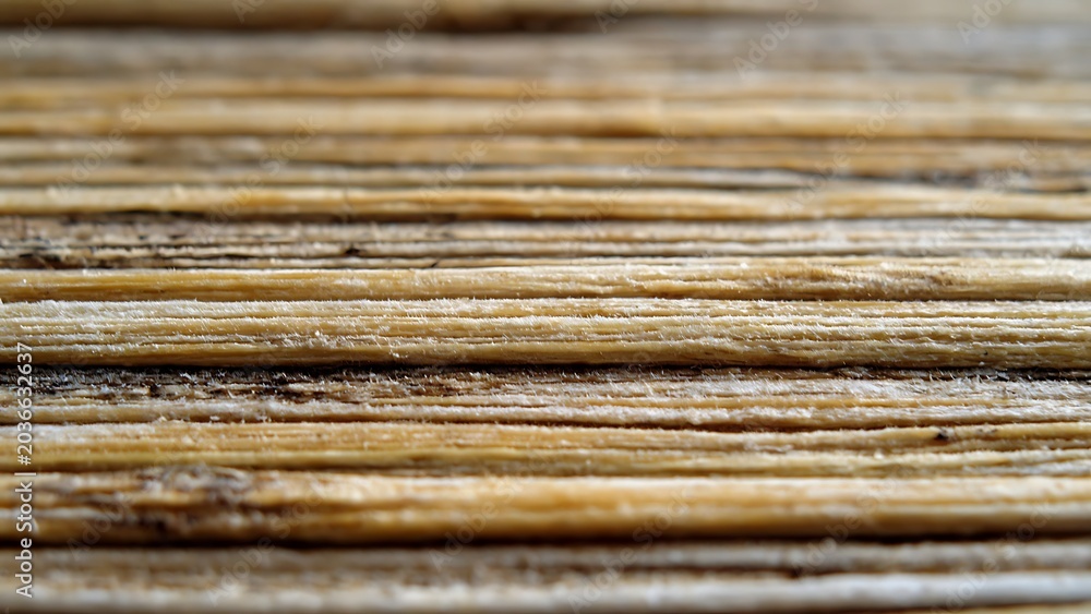 Fototapeta premium Macro of Raw Compressed Bamboo Fibers with Organic Linear Texture and Sustainable Design