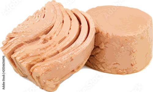 Canned Tuna Chunks and Block Isolated on White fish
