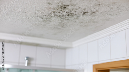 Black Mold Spreading on Bathroom Ceiling due to Poor Ventilation