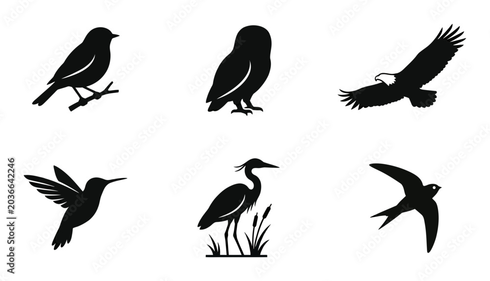 Fototapeta premium 6 Bird silhouettes icons, black solid styles, nature design