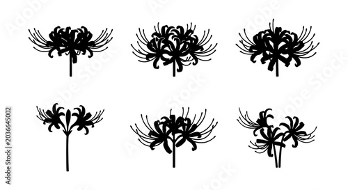 Tableau sur toile Red Spider Lily Silhouettes, Set of 6 Vector Illustrations, Japanese Flower Grap
