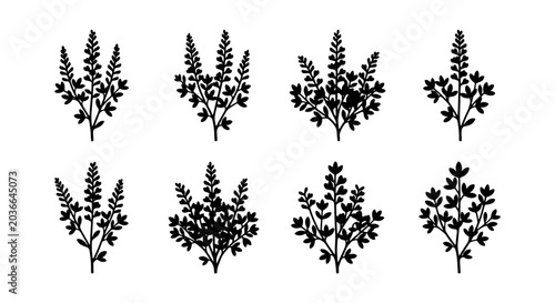 Tableau sur toile Botanical Vector Silhouettes: Delicate Floral Sprigs, Herbaceous Plant Illustrat