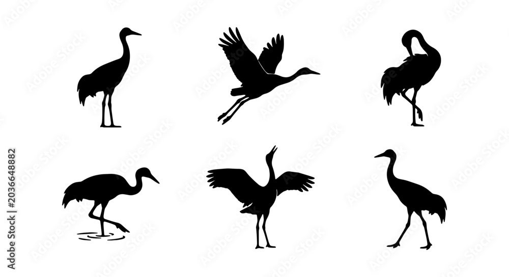 Fototapeta premium Crane Silhouettes: Six Elegant Bird Poses, Vector Graphics for Nature and Wildlife Designs