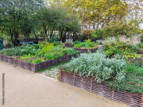 Raised Wattle Garden Beds with Growing Herbs and Vegetables in a Public Park in Paris France.