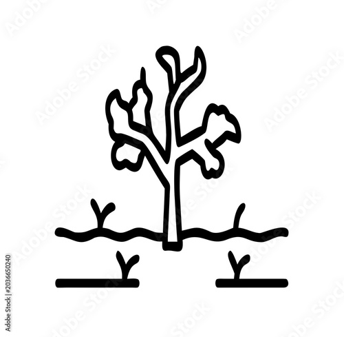 tree with roots