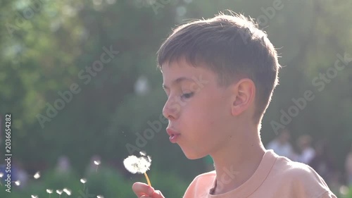 Slow motion portrait video of a cute boy blowing dandelion flower in warm golden sunset sunlight outdoors. Happy childhood lifestyle with dreamy nature atmosphere