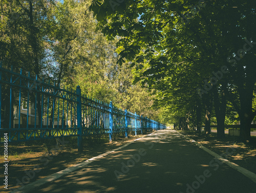 Empty asphalt path in park
