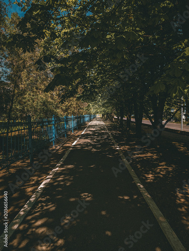 Empty asphalt path in park