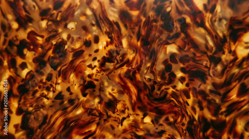 A macro shot reveals a dark tortoiseshell pattern, it creates a rich organic abstract texture.