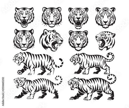 Obraz na płótnie A powerful collection of black and white tiger illustrations showing various pos