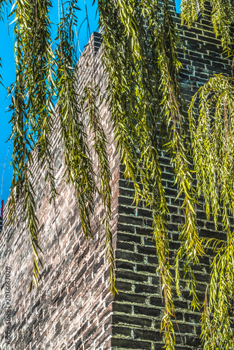 Green Willows Shadows Ancient City Wall Park Beijing China