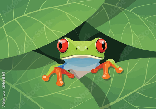 Obraz na plátně A vibrant vector illustration of a red-eyed tree frog peering out from behind lush green jungle leaves, showcasing its bright colors and distinct eyes