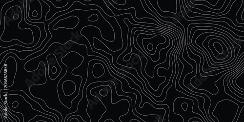 Seamless black and white floral pattern vector with vintage line art ornament texturing a retro tile wallpaper backdrop.