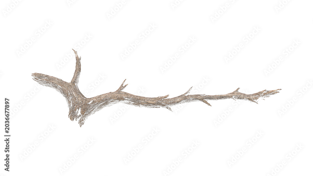 Fototapeta premium PNG Natural branch isolated elegance
