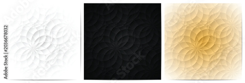 Abstract floral patterns in white black and gold vector backgrounds for design projects