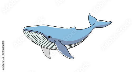 Obraz na płótnie Blue whale cartoon marine mammal.