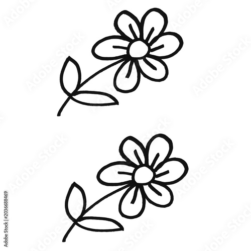 Doodle of Two Simple Flowers with Leaves, Hand Drawn Botanical Line Art