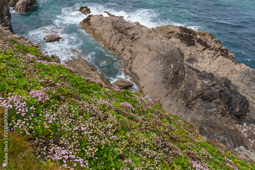 Newquay an der Küste von Cronwall