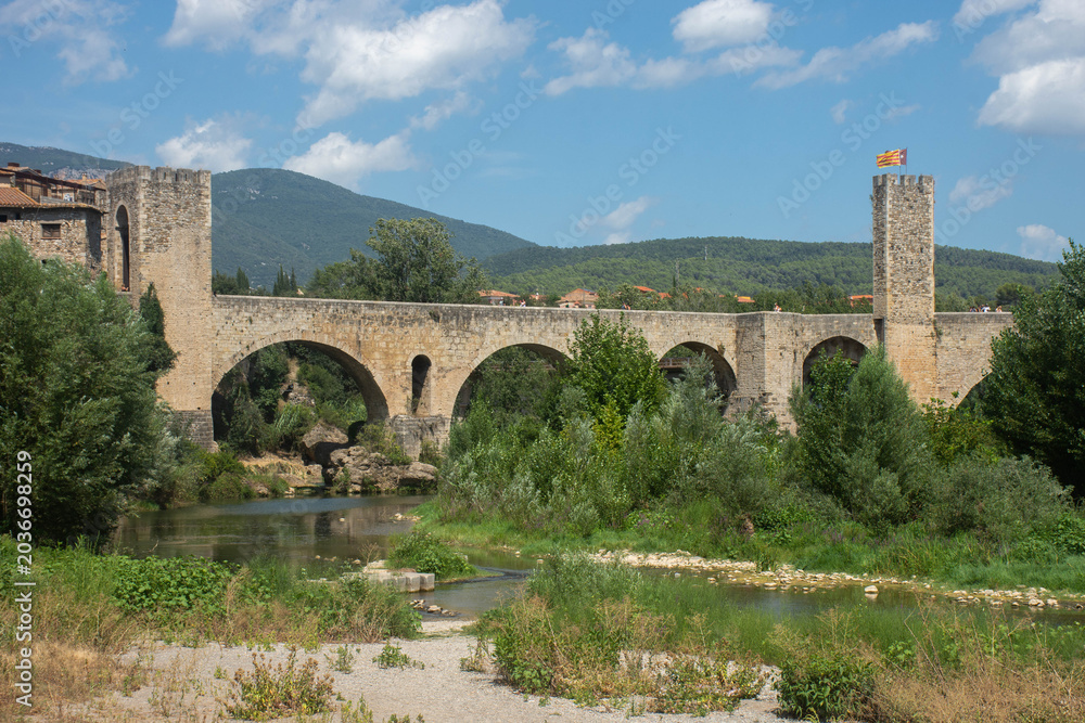 Fototapeta premium bridge over the river