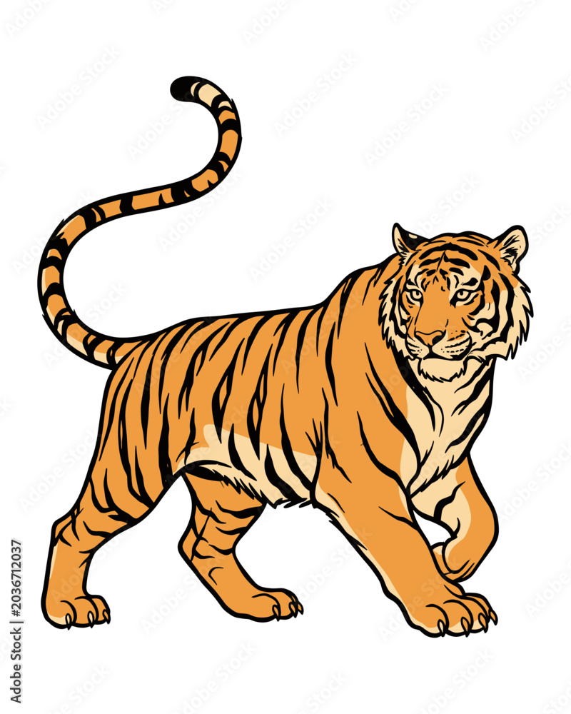 Fototapeta premium Stalking Bengal Tiger Illustration Isolated on White Background