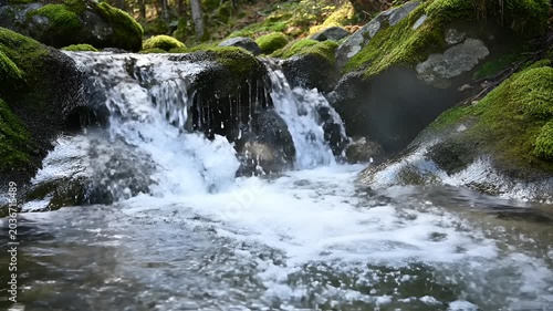 Serene Forest Waterfall Flowing Over Moss Covered Rocks.