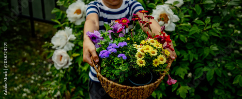 Foto Little boy holding a wicker basket full of colorful blooming flowers in the gard