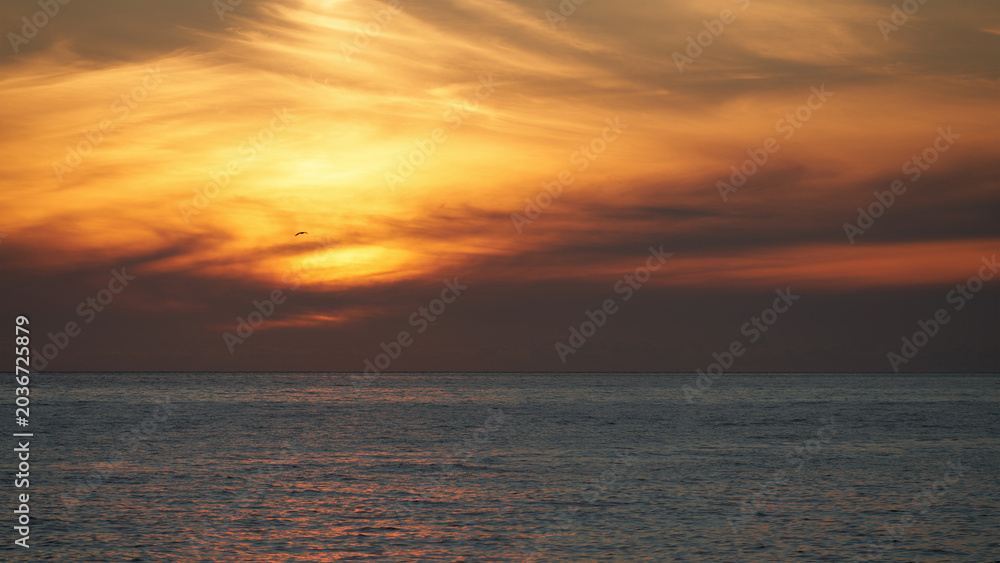 Obraz premium An orange-red sunset over the sea with the setting sun glinting on the calm water surface. Background image.