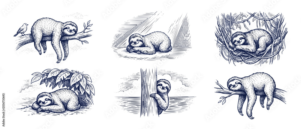 Fototapeta premium Sloth hand drawn sketch illustration set of vintage engraving style jungle sloths sleeping and climbing on tree branches in cute cartoon character design vector clip art for decorative card print set.