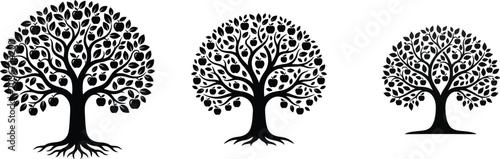 Apple trees with fruit black silhouette on white background