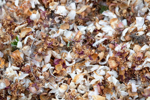 Dried edible flowers. Edible dried flower petals. Texture of dried blooming flowers.