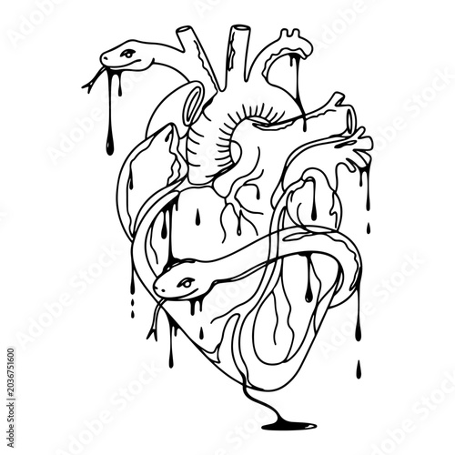 Obraz na plátně Human anatomical heart entwined with snakes and dripping dark liquid in gothic l