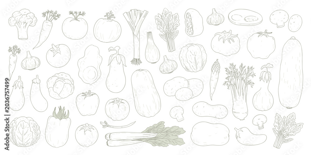 Fototapeta premium Hand drawn collection of various vegetables and produce in outline style food assortment