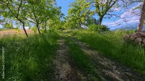 In the woods and on the bike path. A bike ride through the Friulian hills.