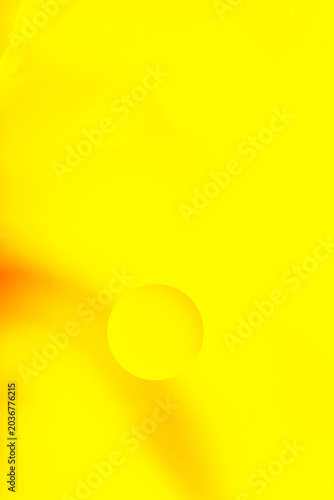 Bright yellow abstract macro background with soft shadow, minimal composition, smooth texture, vivid color, copy space