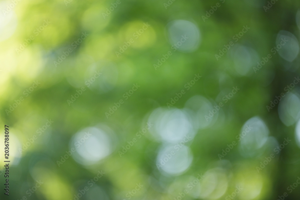 Fototapeta premium Blurred view of green and light blue background. Bokeh effect