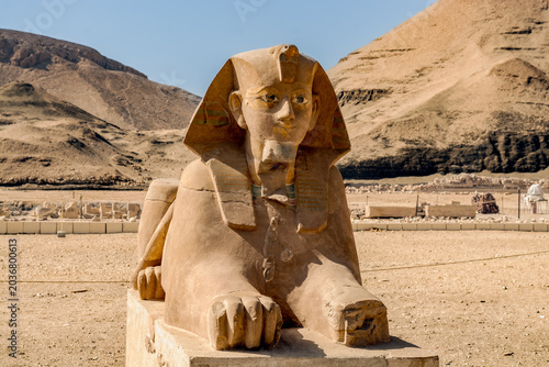 Sphinx on the grounds of temple of Hatshepsut, Luxor, Egypt