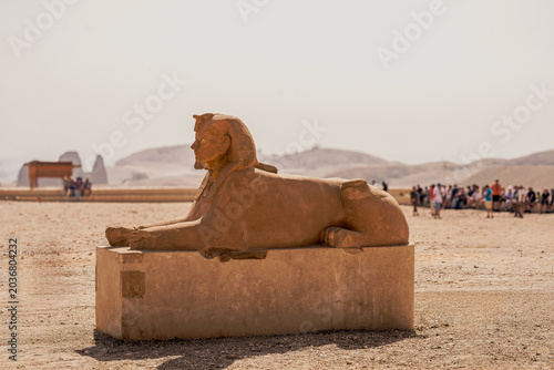 Sphinx on the grounds of temple of Hatshepsut, Luxor, Egypt