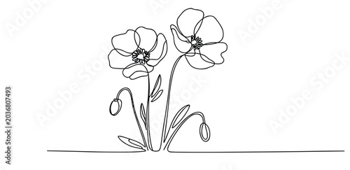Poppy Illustration: A minimalist continuous line drawing of two delicate poppies with buds, symbolizing simplicity and natural beauty.