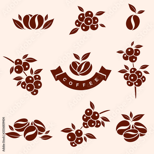 Coffee beans set. Collection icon coffee. Vector