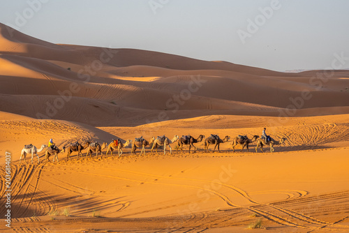 Camel caravan crossing illuminated Sahara dunes at sunrise near Merzouga, Morocco