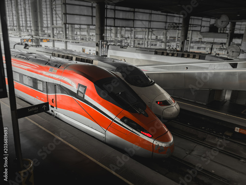 Quadro em tela Sleek modern red and silver high-speed trains waiting at the platform inside a l