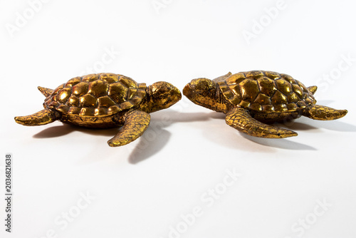 A pair of shiny gold turtle figurines symbolizing longevity and feng shui wealth isolated on a clean white background