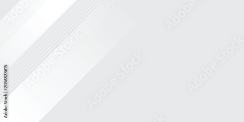 Bild auf Leinwand Abstract White and Grey Background with Modern Geometric Diagonal Lines and Subt