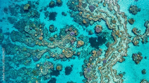Aerial Top Down View of Coral Reef Formations in Clear Turquoise Tropical Ocean Water