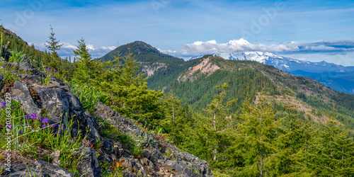 Foto Mt Bachelor with Mt Jefferson in the clouds as seen from Coffin Mt